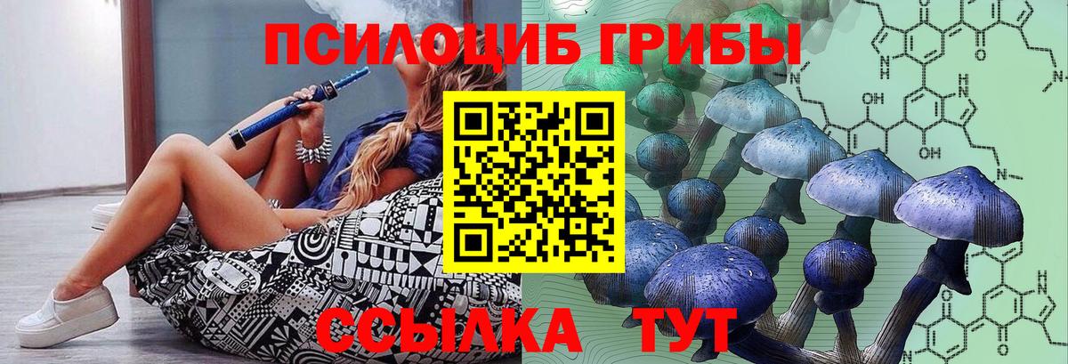 Псилоцибиновые грибы Psilocybe Железноводск